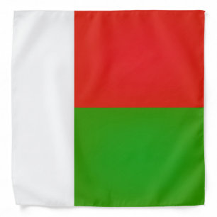 Cool Flag Of Madagascar Fashion Bandana