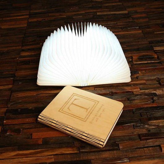 Cool Fold Out Accordion Style Book LED Desk Lamp (Front)
