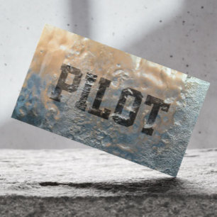 Cool Frozen Ice Pilot/Aviator Business Card