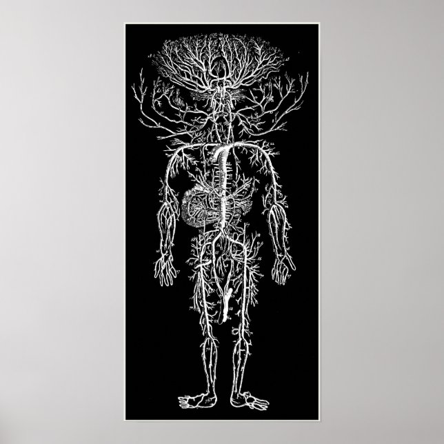 Cool Funny Geek Man's Circulatory System Custom Poster (Front)