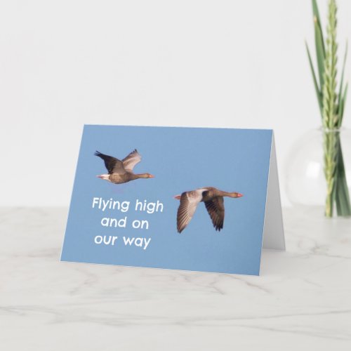 COOL GEESE FLYING HIGH TO SAY HAPPY BIRTHDAY CARD