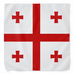 Cool Georgia Flag Fashion Bandana