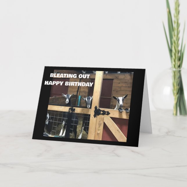 COOL GOATS BLEAT OUT "HAPPY 40th BIRTHDAY" Card (Front)