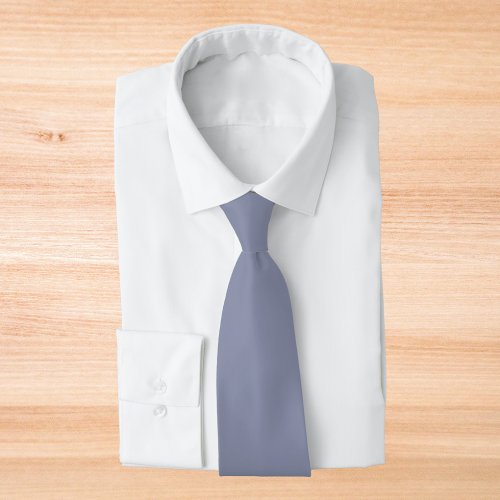 Cool Gray Solid Color Neck Tie