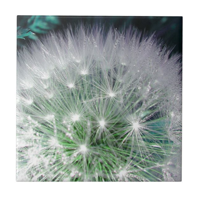 Cool green and white dandelion with waterdrops tile (Front)