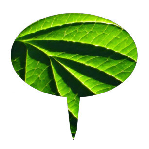 Cool green leaf cake topper