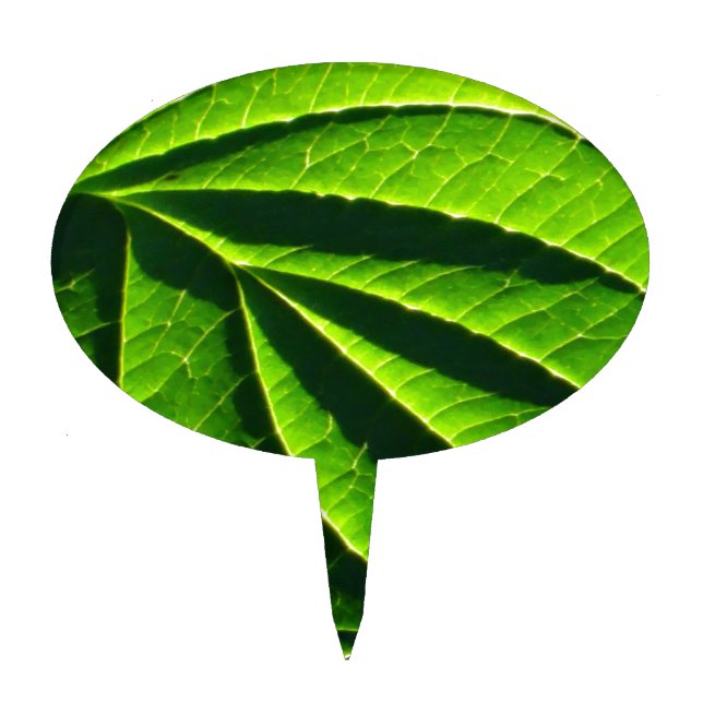 Cool green leaf cake topper (Front)