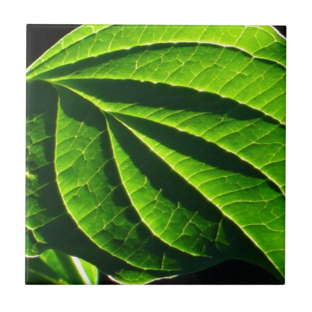 Cool green leaf tile (Front)
