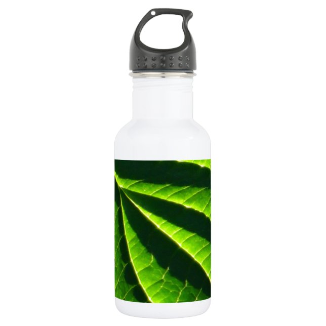 Cool green leaf water bottle (Front)