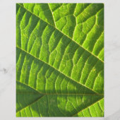 Cool green leafprint (Front)