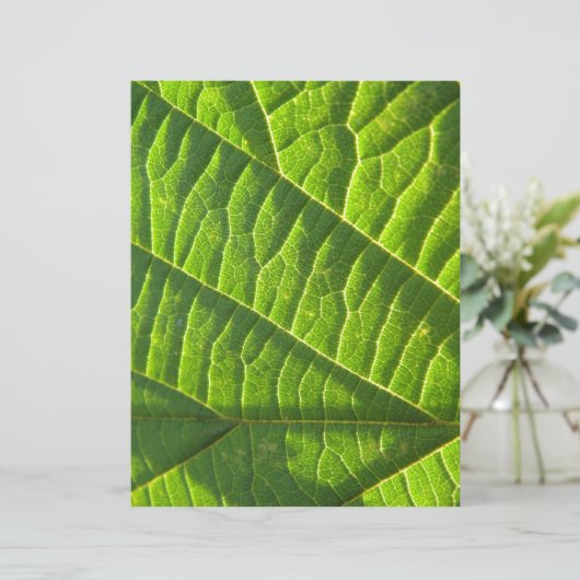 Cool green leafprint (Standing Front)
