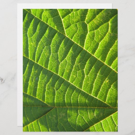Cool green leafprint (Front/Back)