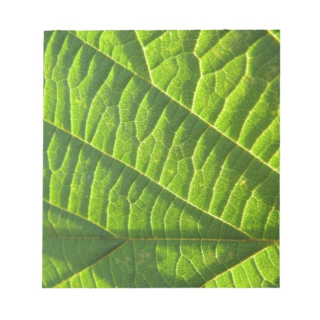 Cool green leafprint notepad (Front)