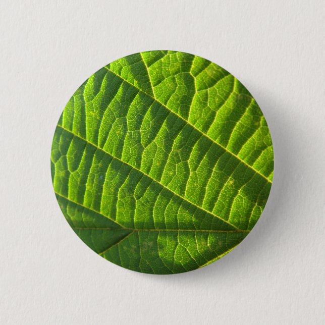 Cool green leafprint pinback button (Front)
