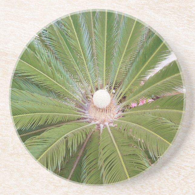 Cool Green Palm Drink Coaster (Front)