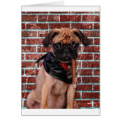 Cool Hand Pug (Front)