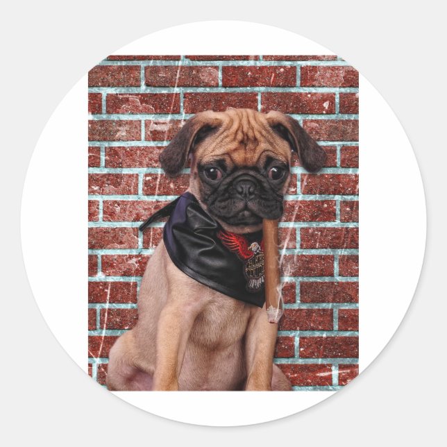 Cool Hand Pug Classic Round Sticker (Front)