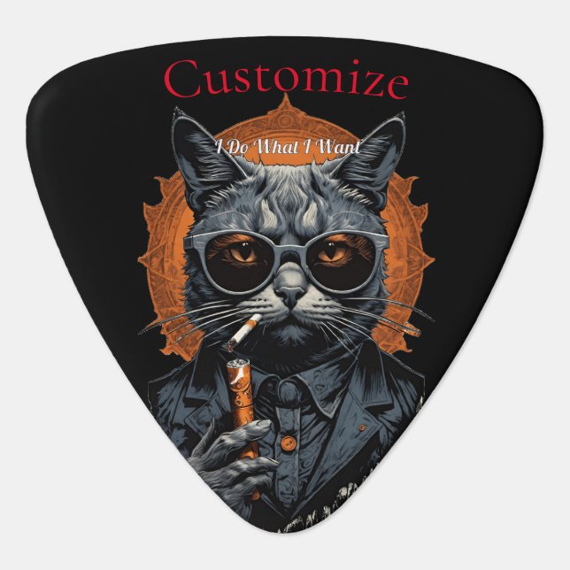 Cool Hip Cat Thunder_Cove Guitar Pick (Front)
