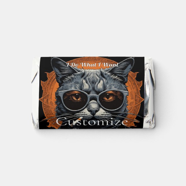 Cool Hip Cat Thunder_Cove Hershey's Miniatures (Front)