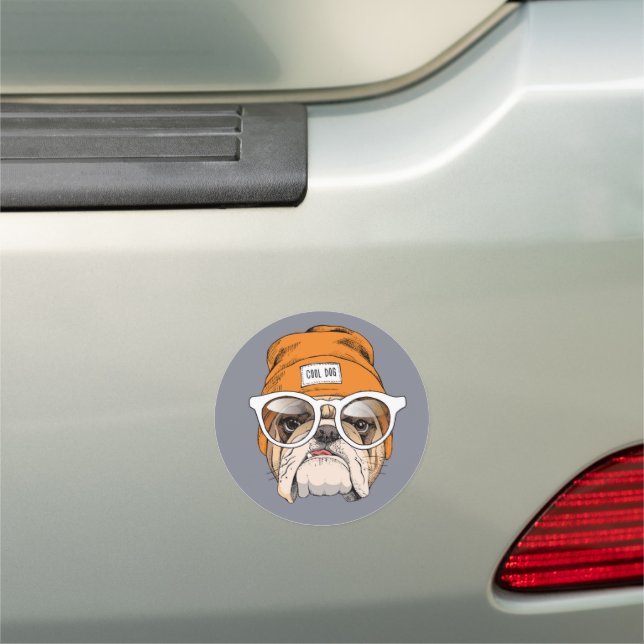 Cool Hipster Bulldog Car Magnet (In Situ)