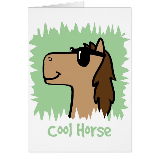 Cool Horse Cards (Front)