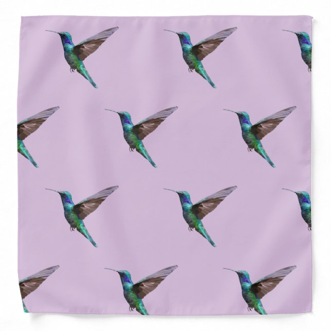 Cool Hummingbird Bandana (Front)