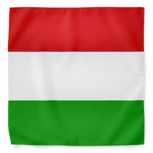 Cool Hungary Flag Fashion Bandana