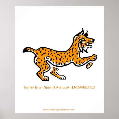 Cool Iberian LYNX _ Endangered animal _ Poster