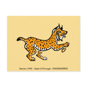Cool Iberian LYNX- Endangered animal - Wildlife - Postcard