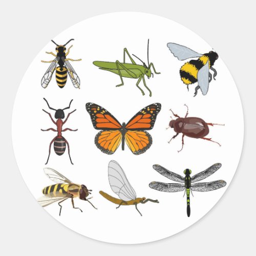 Cool Insect Round Sticker