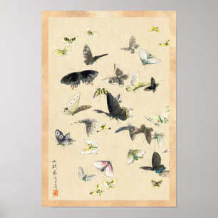 Cool japanese vintage ukiyo-e butterfly scroll poster