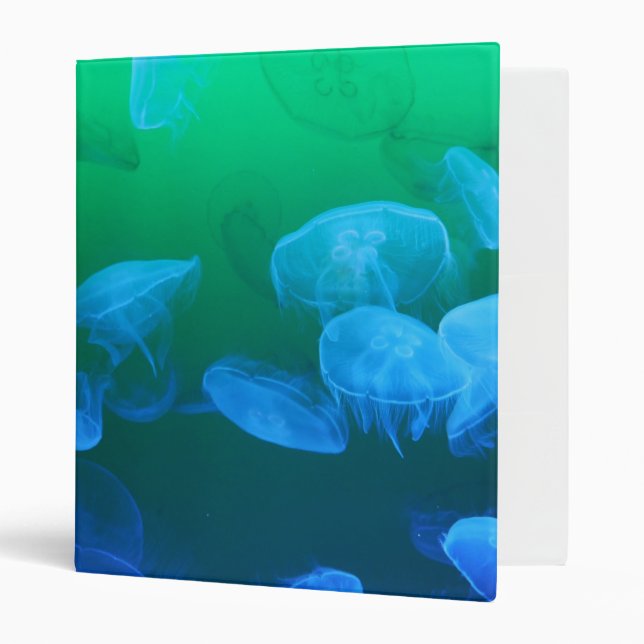 Cool Jellyfish Green Blue Gradient 3 Ring Binder (Front/Inside)