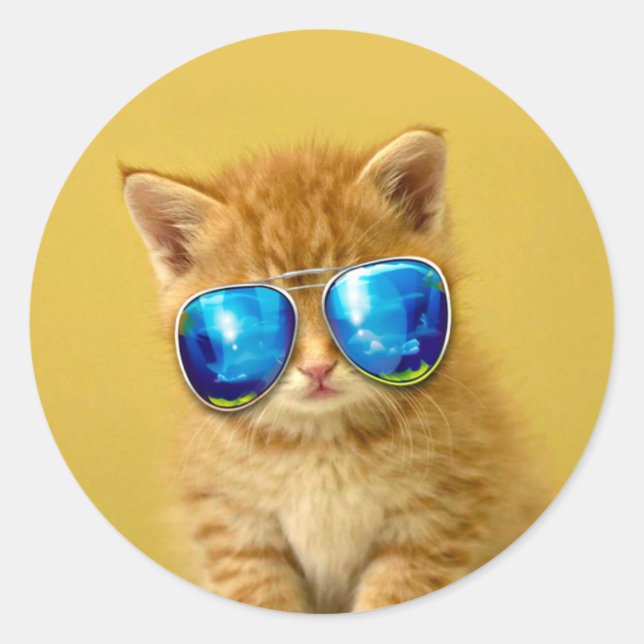 Cool Kitten in sunglasses Classic Round Sticker (Front)