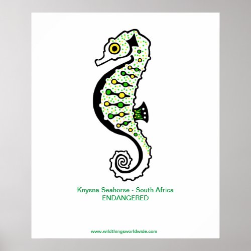  Cool Knysna SEAHORSE _ Endangered _ Wildlife _  Poster