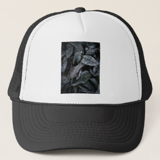 Cool leaves trucker hat
