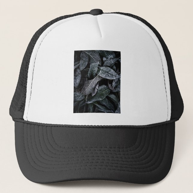 Cool leaves trucker hat (Front)
