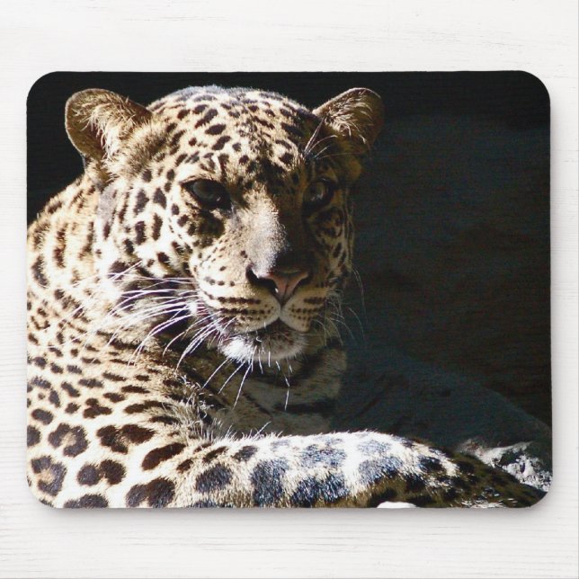 Cool Leopard Mousepad (Front)
