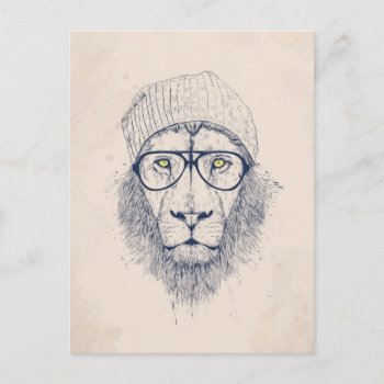 Cool Lion Postcard by bsolti at Zazzle