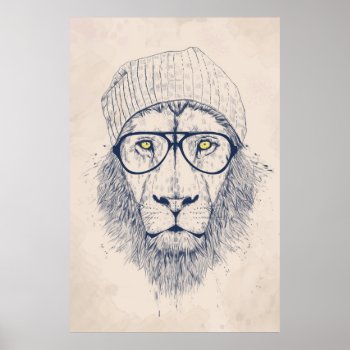 Cool Lion Poster by bsolti at Zazzle