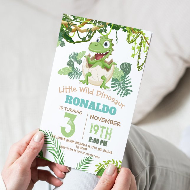 Cool Little Dinosaur Theme 3rd Birthday Party Invitation (Creator Uploaded)