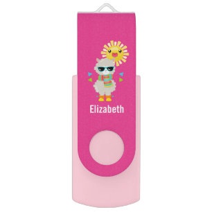 Cool Llama and Smiling Kawaii Sun Flash Drive