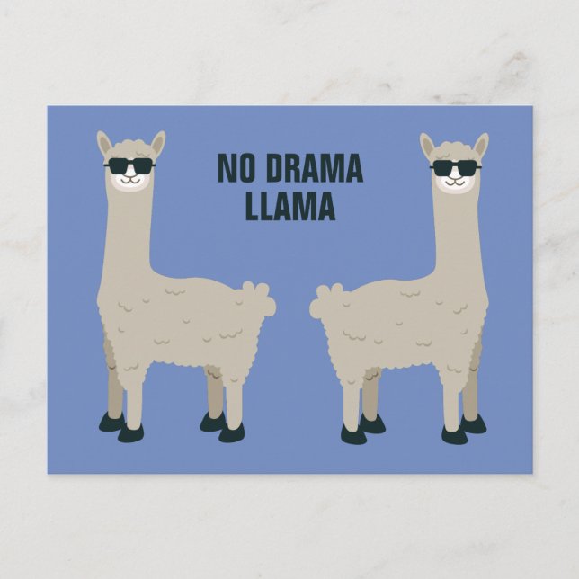 Cool Llama custom text & color postcard (Front)