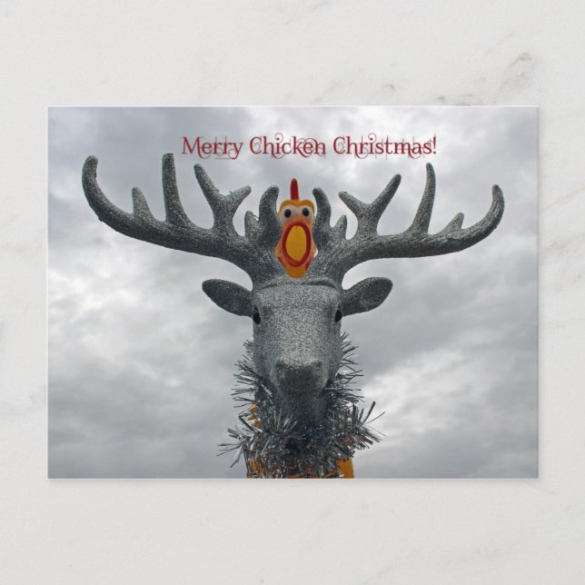 Cool Merry Chicken Christmas Postcard! Holiday Postcard (Front)