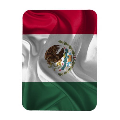 Cool Mexico Flag Design Magnet