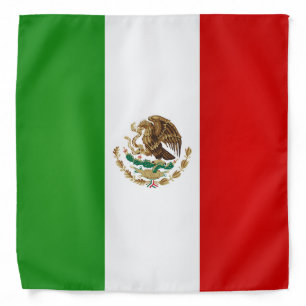 Cool Mexico Flag Fashion Bandana
