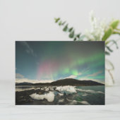Cool mix Aurora (Standing Front)