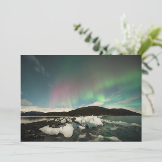 Cool mix Aurora (Standing Front)