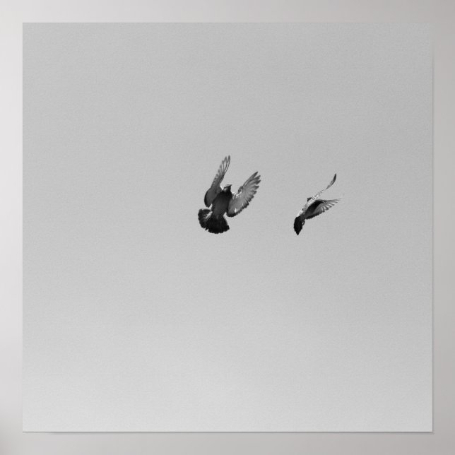 Cool Modern B&W flying bird simple modern design Poster (Front)