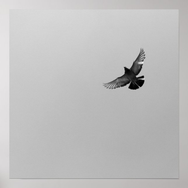 Cool Modern B&W flying bird simple modern design Poster (Front)