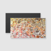 Cool, modern, colorful abstract background (Front/Back)